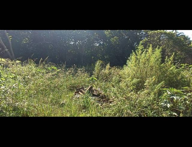 LAND FOR SALE IN LEISURE BAY